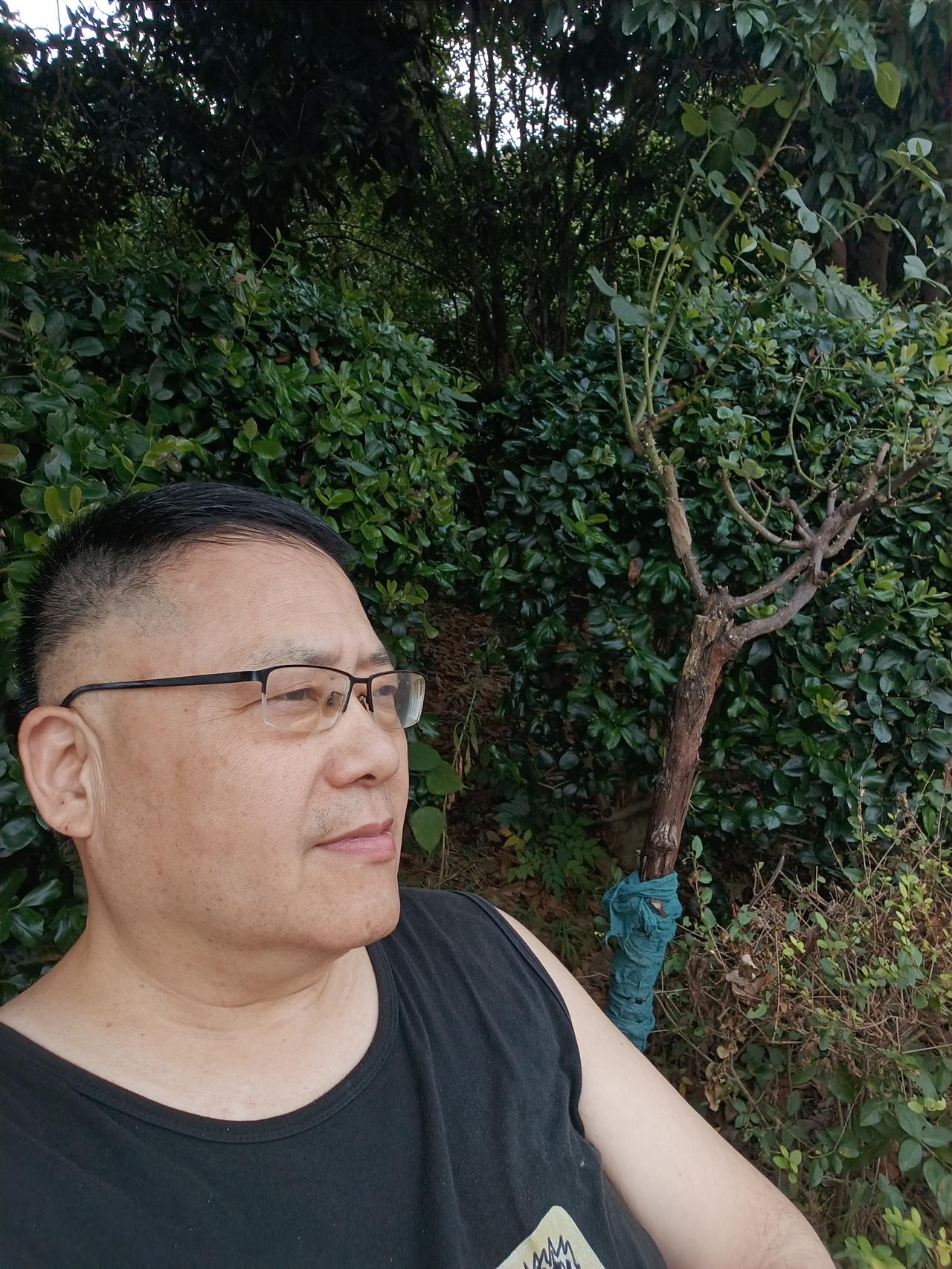 前天，写了一篇“小作文”，就是说我在抖音商城，花5块钱买了一个塑料胶贴补鞋的事情