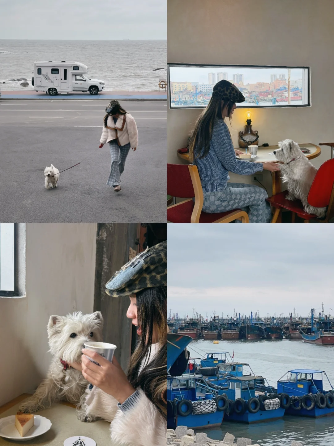 快来遛狗！晴天的祥芝码头得有多好看啊