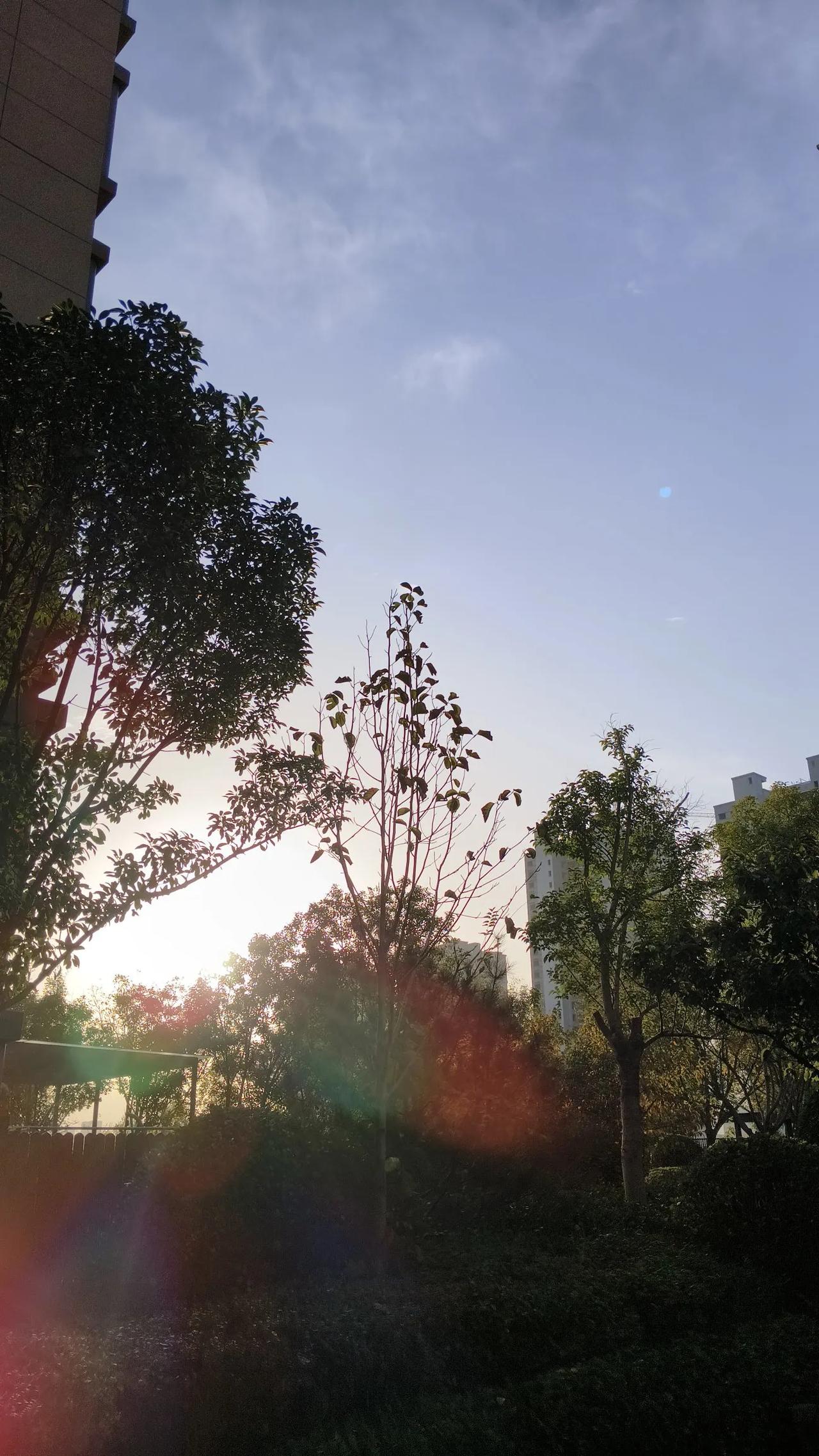 这样的光影属于最初的初冬。
此刻，叶子已经回家了。
每一刻都是独一无二的享受与体