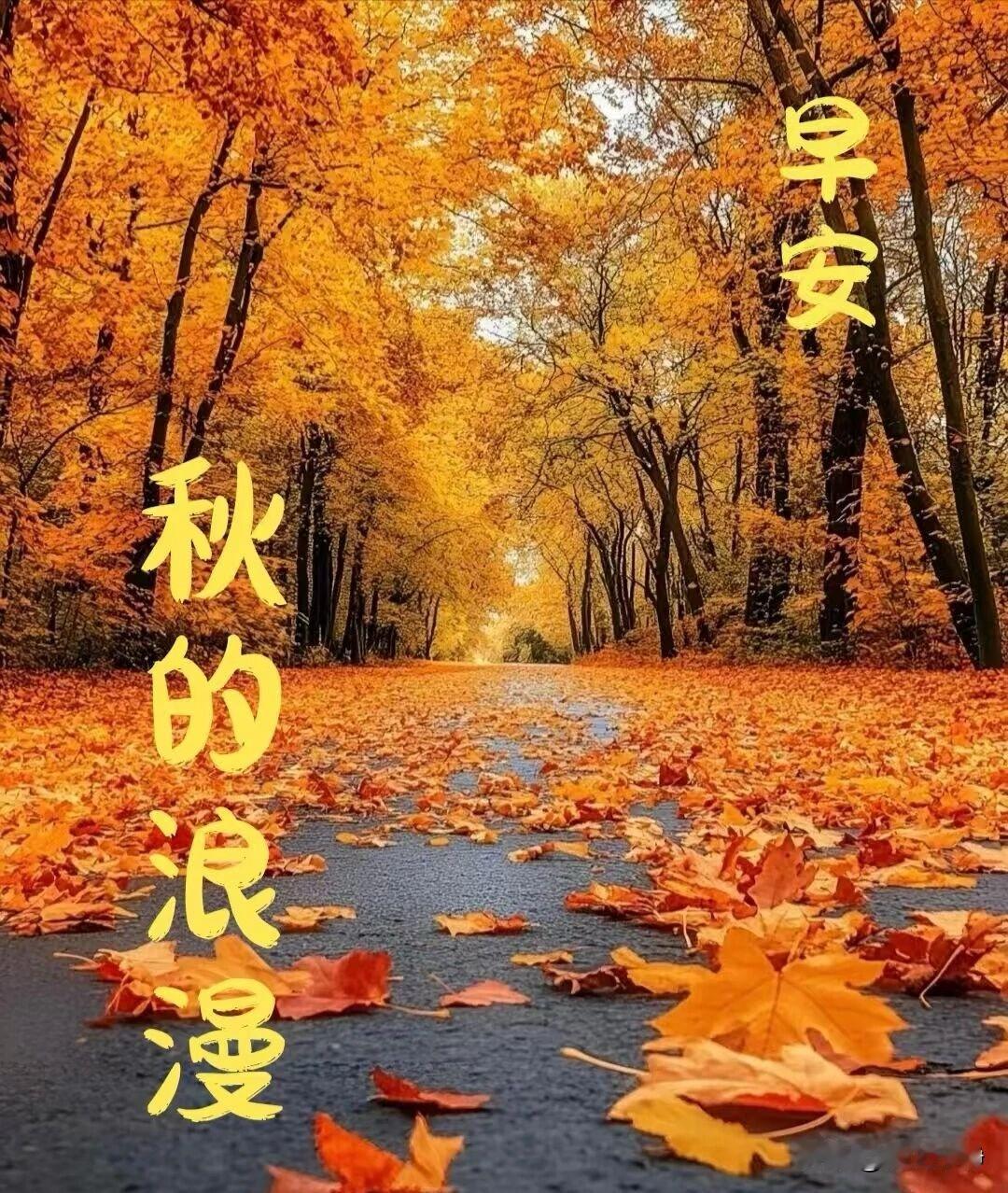 🍂²⁰²⁶/₁₀.₁₅ ᵕ̈ 🌞早安｜岁岁欢喜🍒🍑🐎☕️
晓日临窗案，