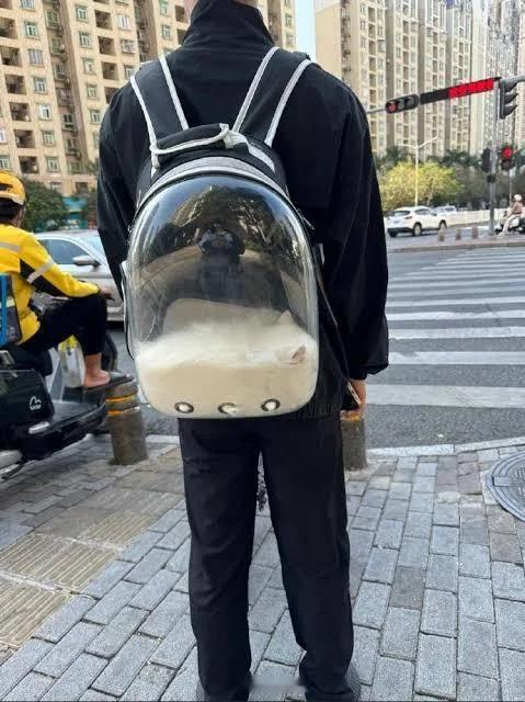 猫液 ​​​