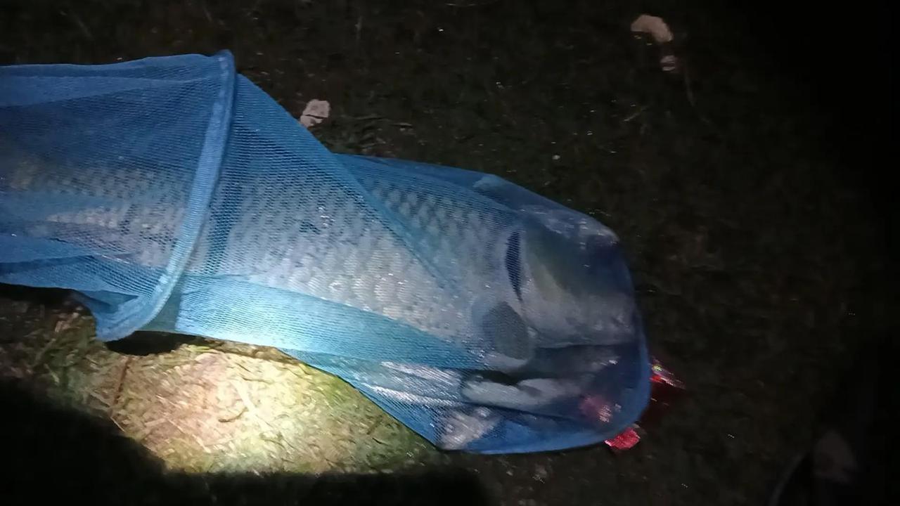 2021年那会。
有一次跟着三个朋友进山里夜钓，钓到下半夜了四个人都还是空军。