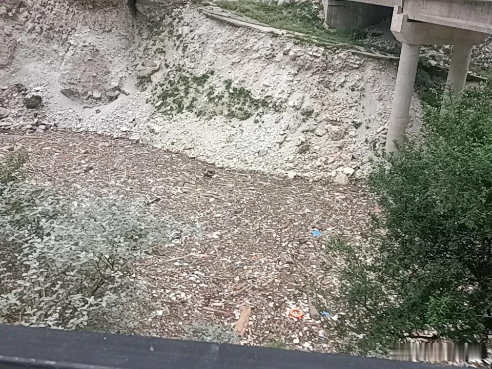 猜猜这是什么？这是大渡河的一个河湾处水面上漂浮的垃圾。
有时候真的搞不懂，在青山