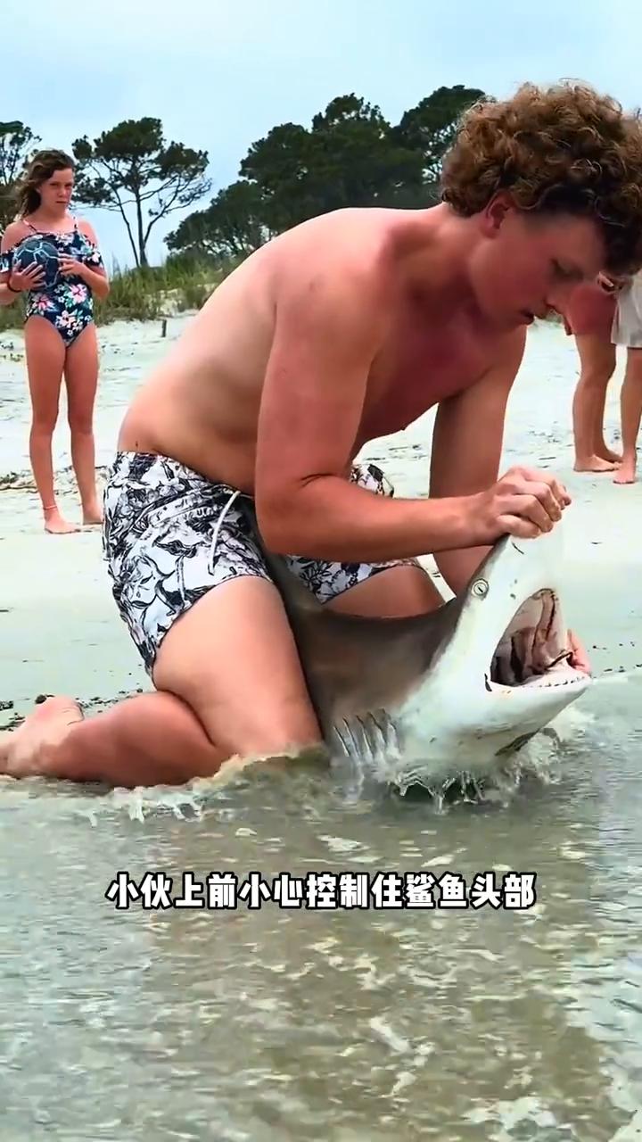 海滩救助搁浅鲨鱼。
注意看，海边沙滩意外冲上来一条黑鳍礁鲨，鲨鱼嘴中还卡着钓鱼鱼