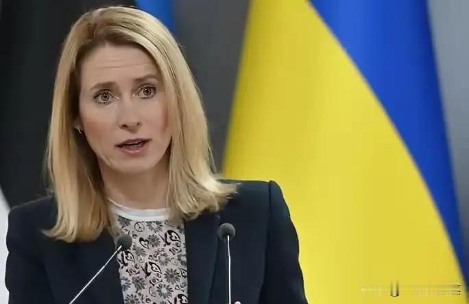 1月3日，马杜罗被“抓捕”后，欧盟的吃相太难看了，竟然公开拉偏架。欧盟外交与安全