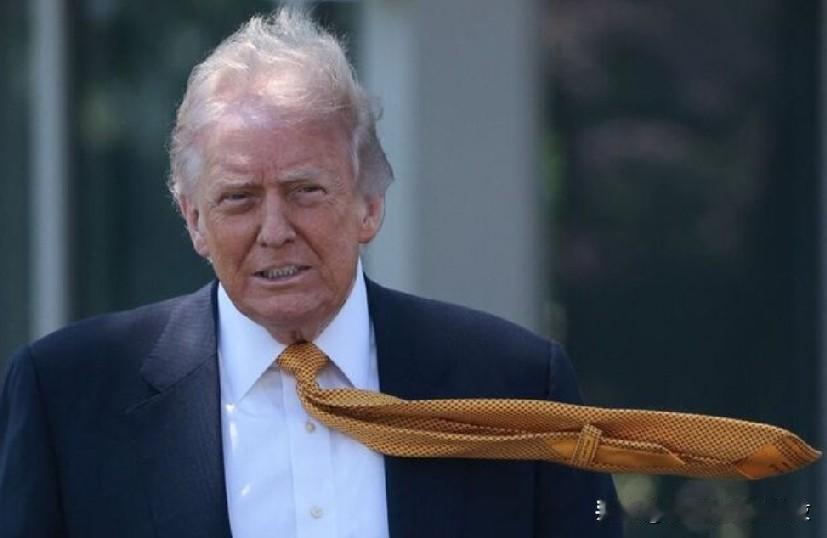 特朗普称停止伊朗核计划比美国经济困境更重要。
5 月 12 日 (路透社)—— 