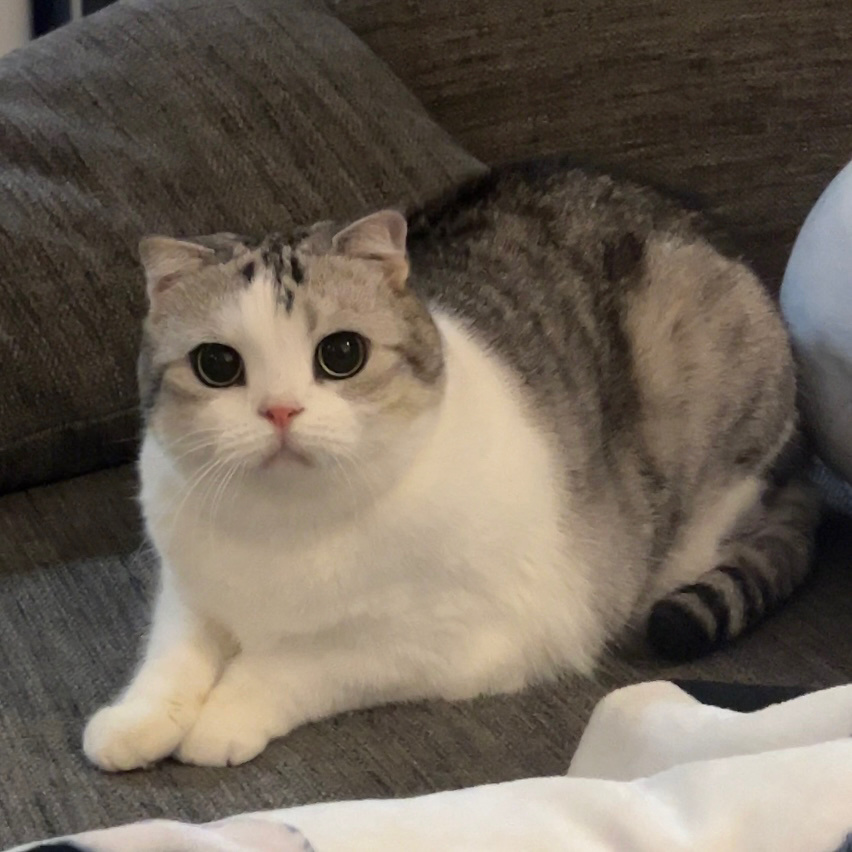 宝宝……🥺你是一颗球… ​​​