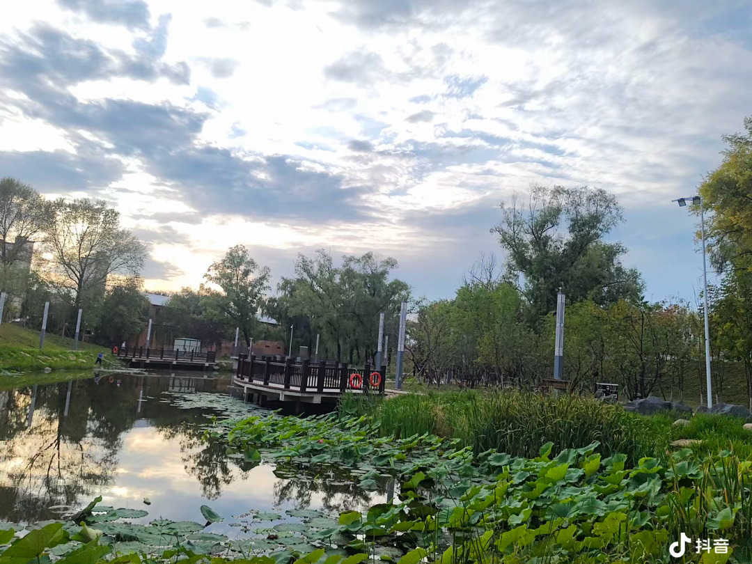 风会吹散焦虑，光会漫进缝隙，慢慢来，你想要的温柔都在沿途等你。不必追赶日落，也无