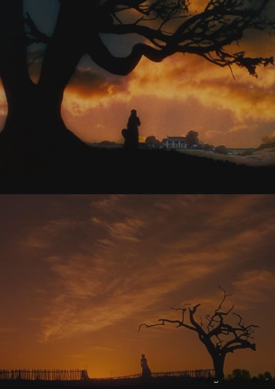 今天和位姐姐聊天，讲到一些琐事，她说：不要介入别人的因果，不要承担别人的因果，让