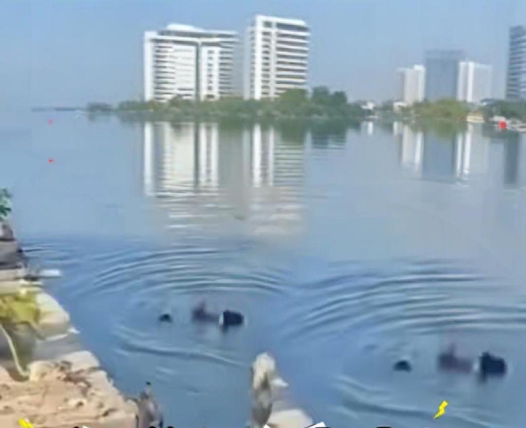 昨天关于潮州一座大桥夫妻吵架，爸爸把孩子扔入1.8深河水，没明2月22日发生在潮