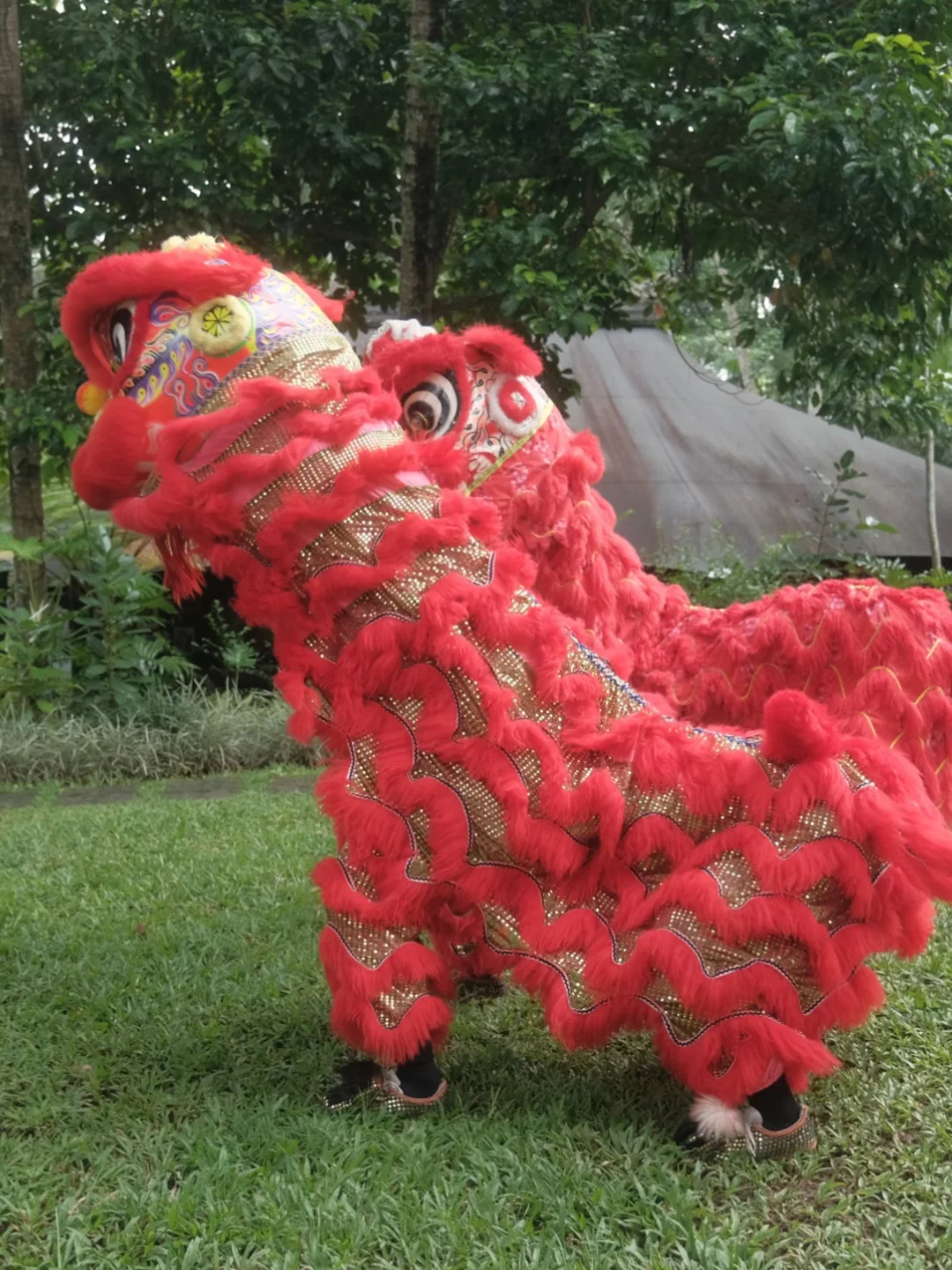 火马奔腾迎新春