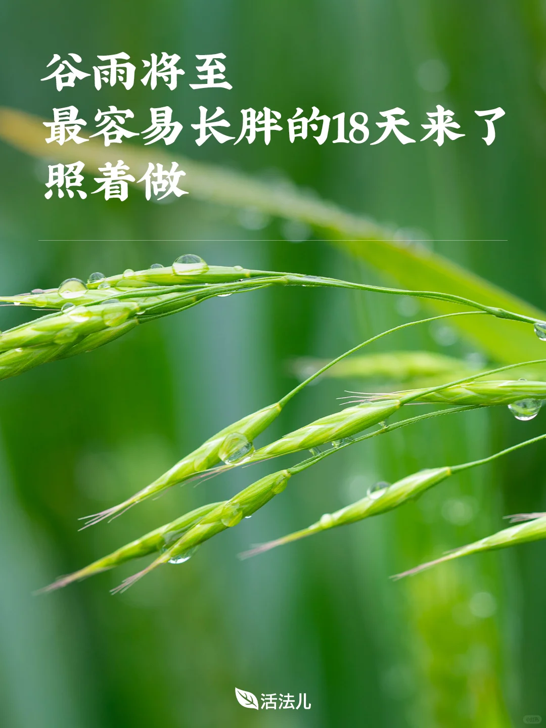 谷雨将至，最容易长胖的18天来了，照着做