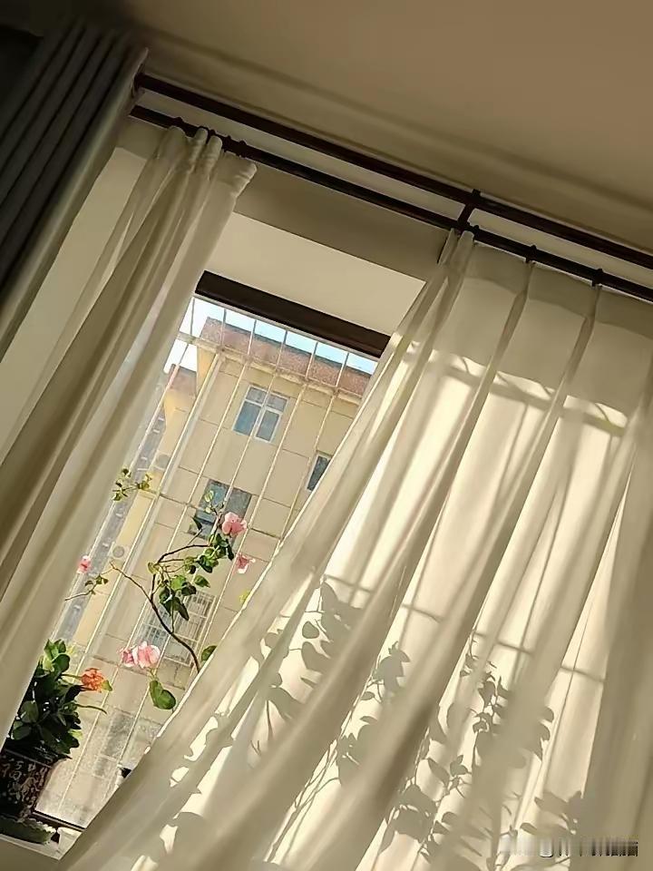 新手在头条发内容时，是不是总觉得迷茫又焦虑？总因为琢磨着阅读量、点赞量这些数据睡