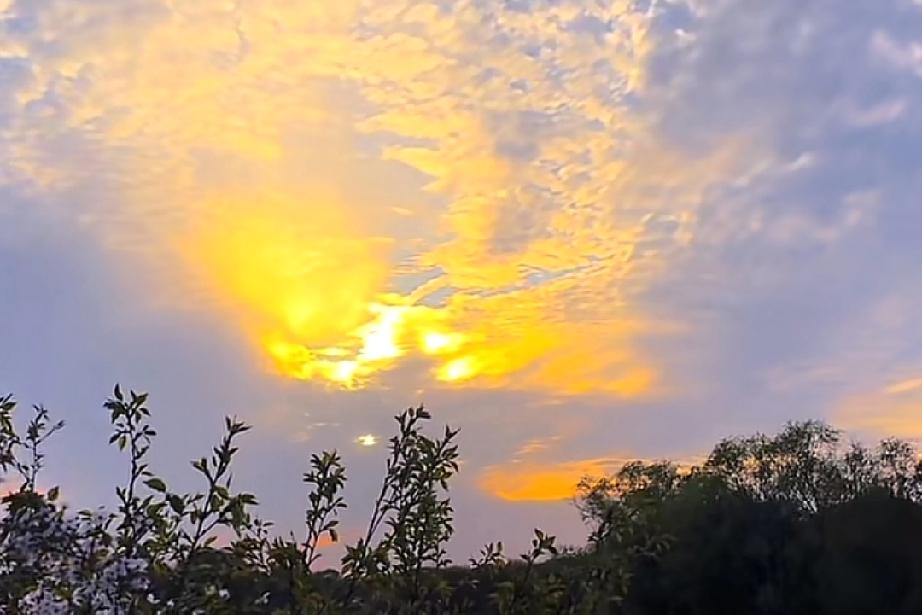 有一种开心，是你悄悄来过就好。

不知道有没有人像我一样，有着一个算不上，特别却