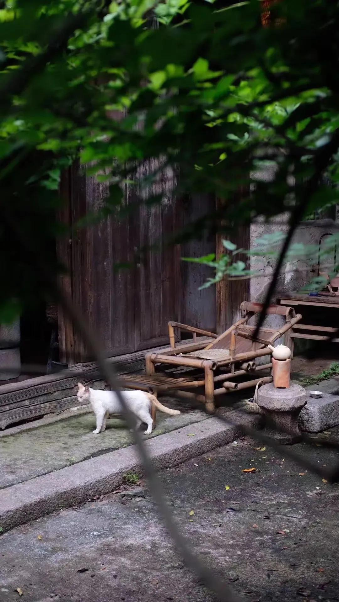 人老了才会明白：“不管你有多少钱，有多大的房，人老了，其实到了75岁左右，好日子