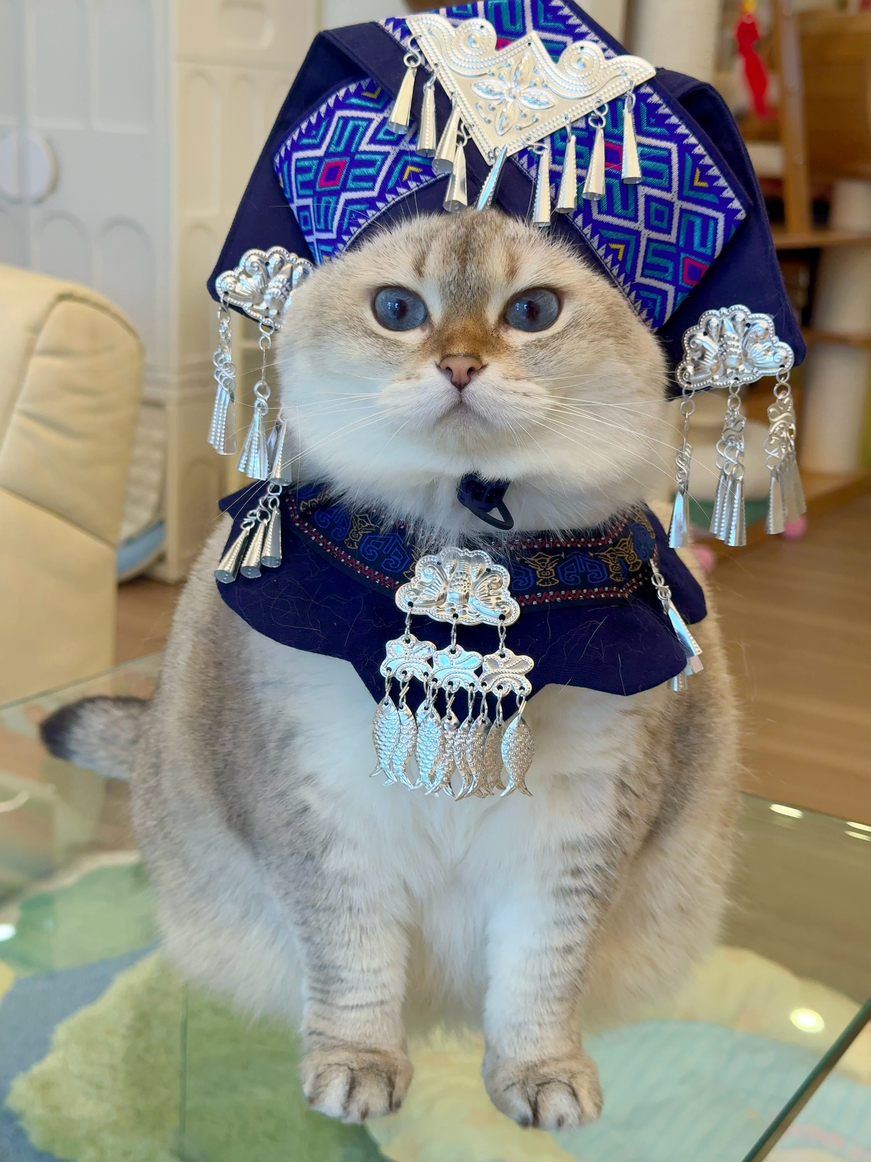 妹妹穿啥都好看呢