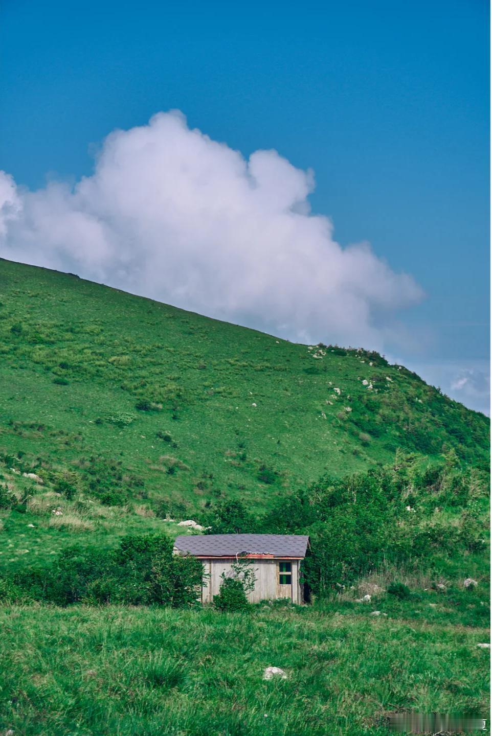 盛夏追光之旅微博旅行ing 夏天还在找避暑宝地？来汉中就对了。钻进幽深山林，踏过