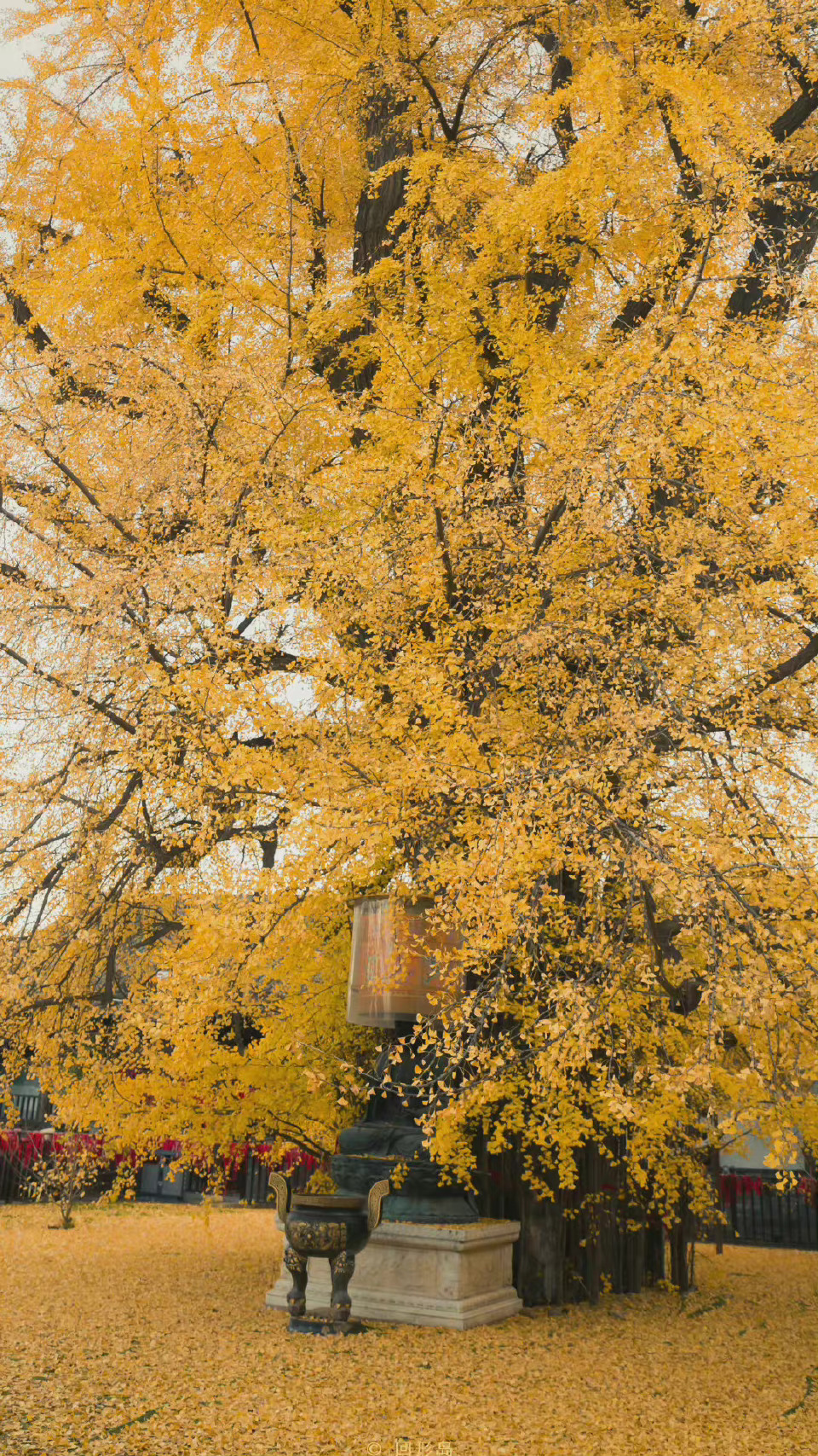 你看匆匆一年又是秋。岁月不堪数，故人不如初。不过是在这人间暂坐，却要历经万千沧桑