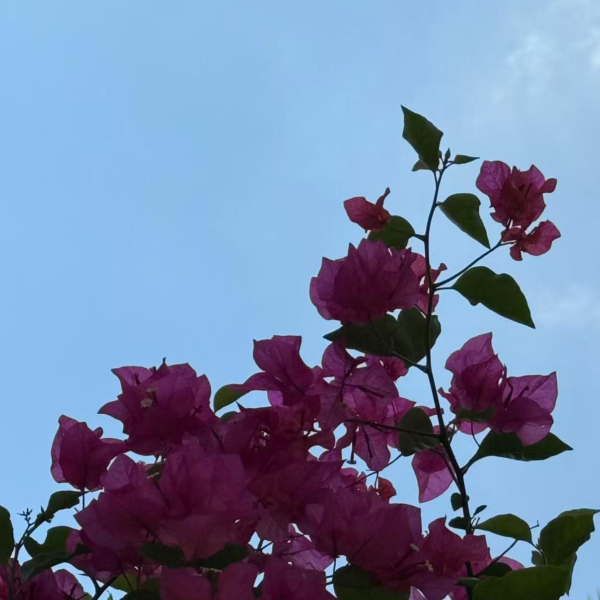 英方人面前说人话、鬼面前说鬼话的做法令人恶心   希望英方改邪归正   好自为之