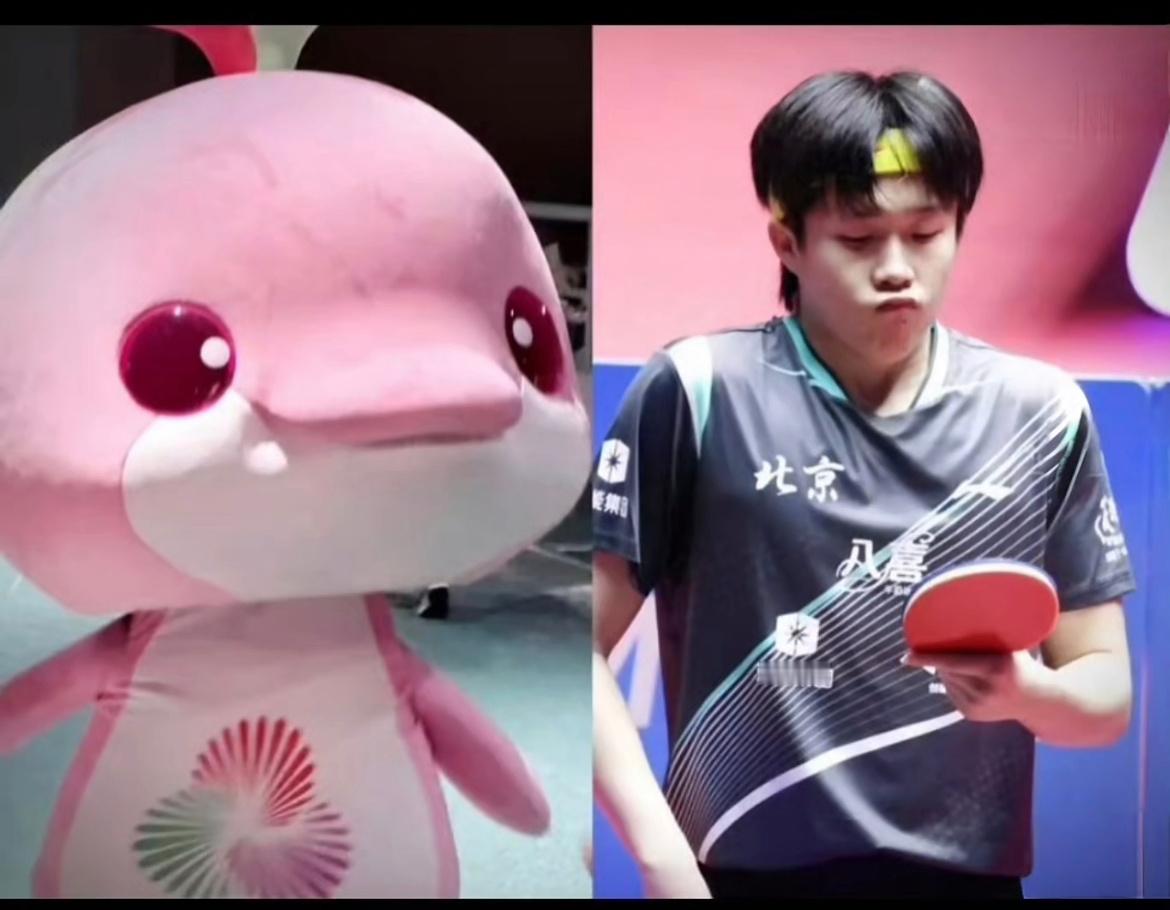 这是哪个有才人发现的？你还别说 他俩头的比例都一样！一模一样的可爱！