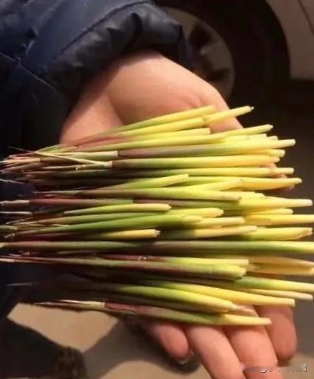上午刚在地里采的，又嫩又甜，大家有认识的吗？请用你们当地的方言说！ 六安二十年变