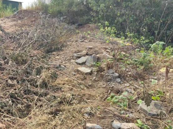 “缺大德了”，山东济南这件事看得人窝火，刘先生一家18座祖坟竟有8座在土地平整过