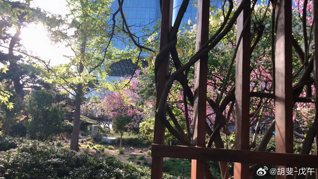 大牛市里，一个中级调整，也能杀人。参考2007年大牛市中的530，2016年的熔