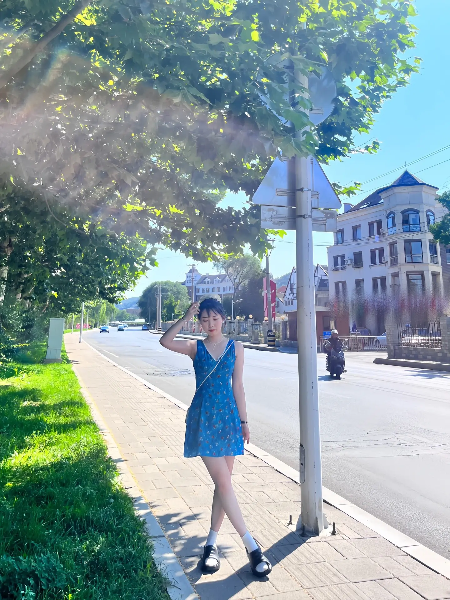 古道冰封停过马 又见春水应桃花