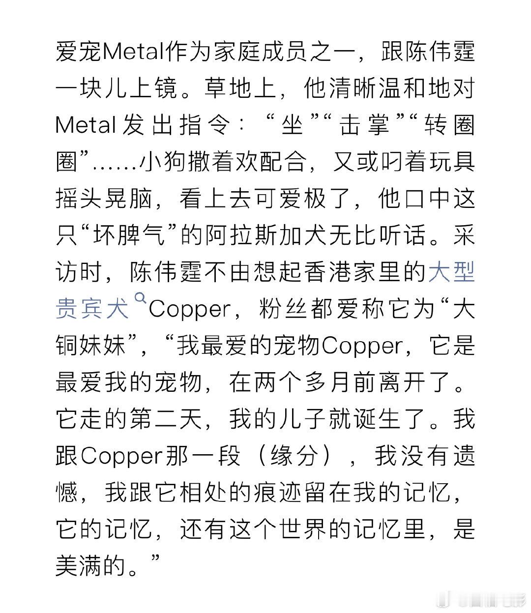 陈伟霆的狗在儿子诞生前一天离开了陈伟霆爱宠去世第二天儿子诞生 陈伟霆的狗在儿子诞