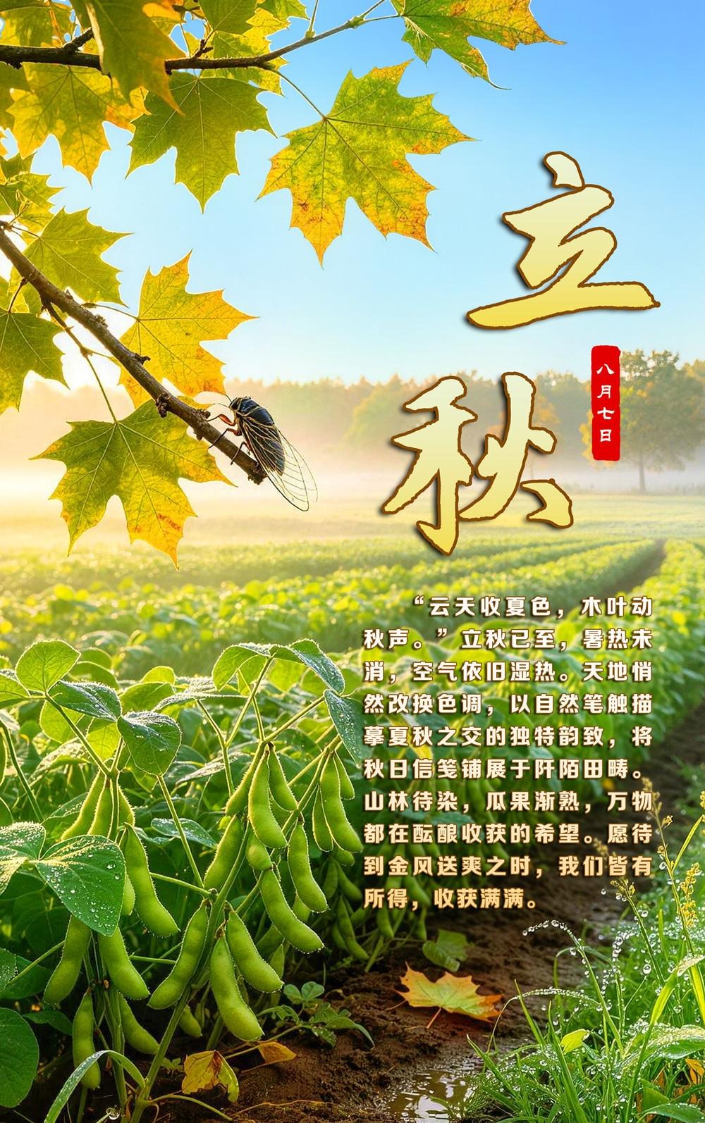 立秋

金风消热浪，玉露夜凝秋。

树杪蝉声细，云边鸟影愁。

梦随明月远，身伴