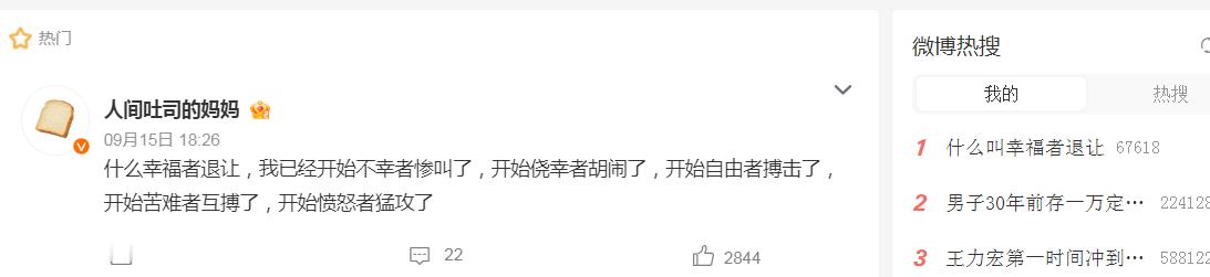 《征兆、符号或标牌》吃了自己的鲭鱼，喝了自己的牛奶，Ta们在滑翔机里睡着了，像两