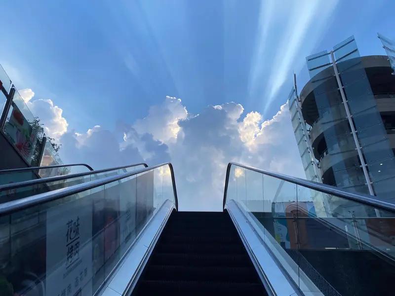 很多人爱念叨“命里有时终须有，命里无时莫强求”，遇到烦心事就归咎于上天的安排。但