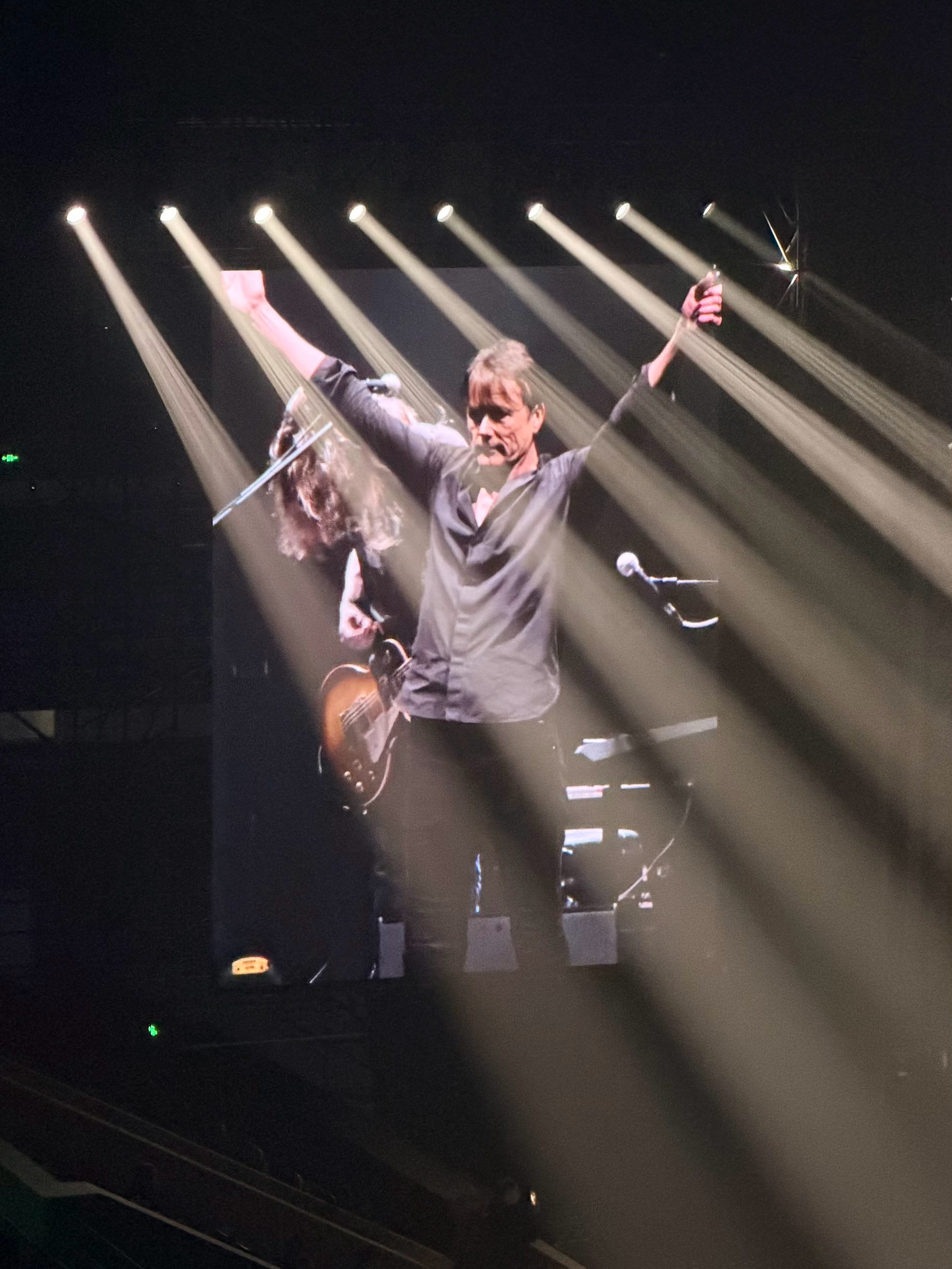 这辈子总要听一次Suede！山羊皮万岁，狗人星永恒！回想最初沉迷Suede还是学