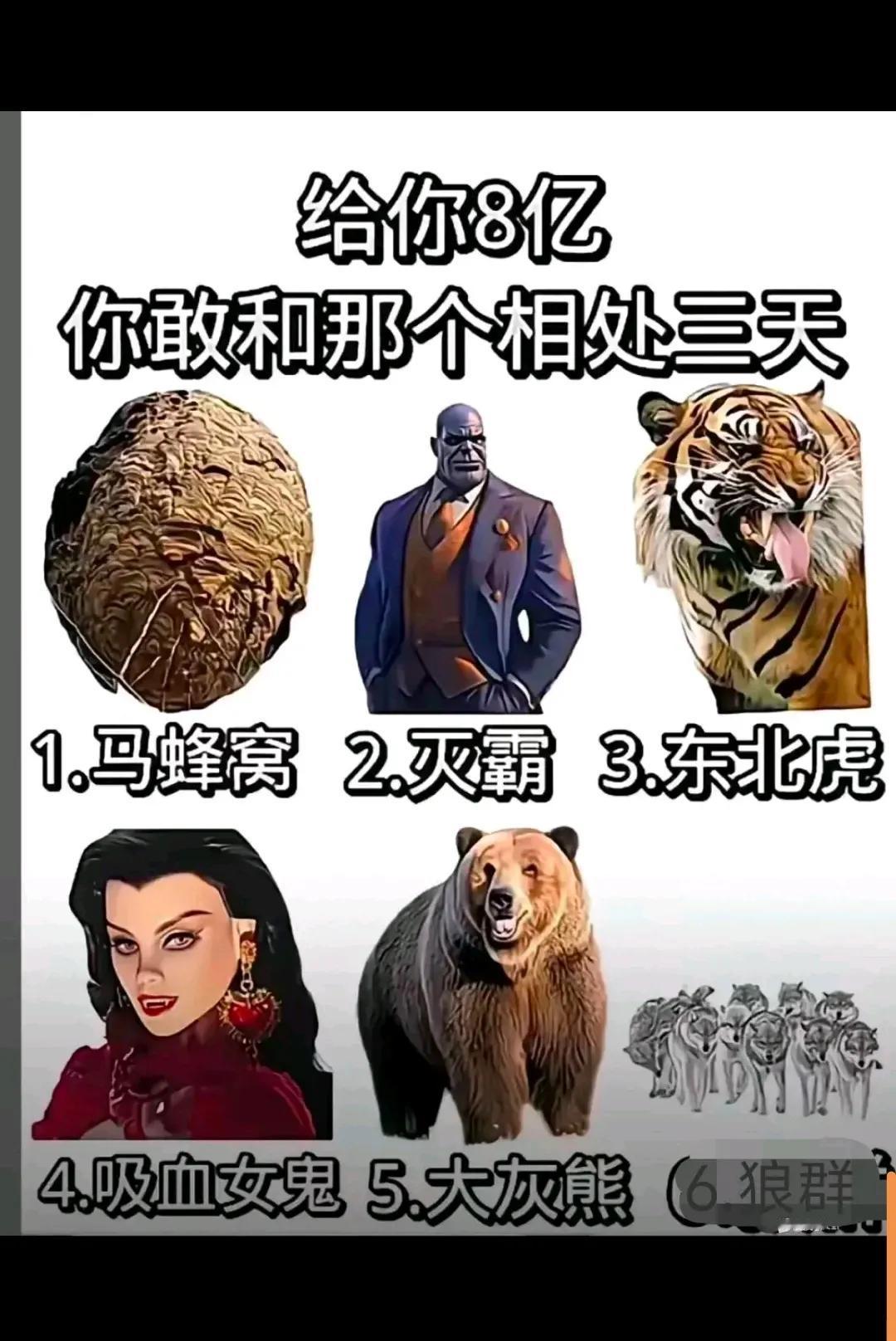 你敢跟那个相处？？？？