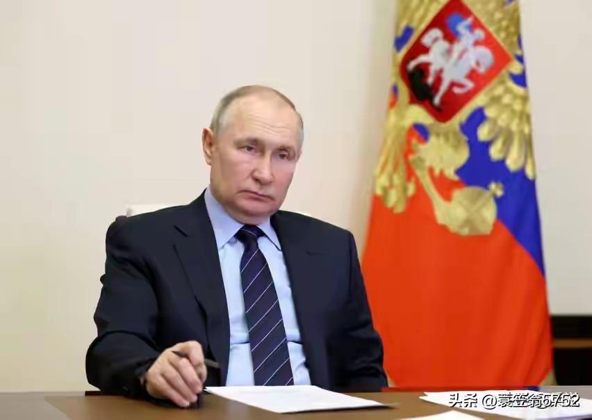 普京此次访印对国际局势的影响主要体现在以下几个方面：
1. 地缘政治博弈加剧
普