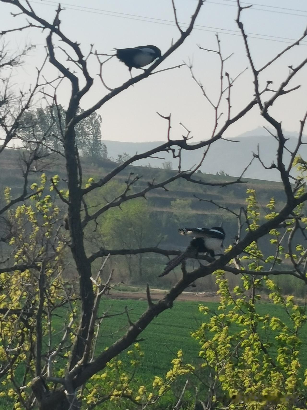 进村卖货的老板都抓住了农村的短板，所以价格死贵死贵的。
今天又有两个商贩进村卖货