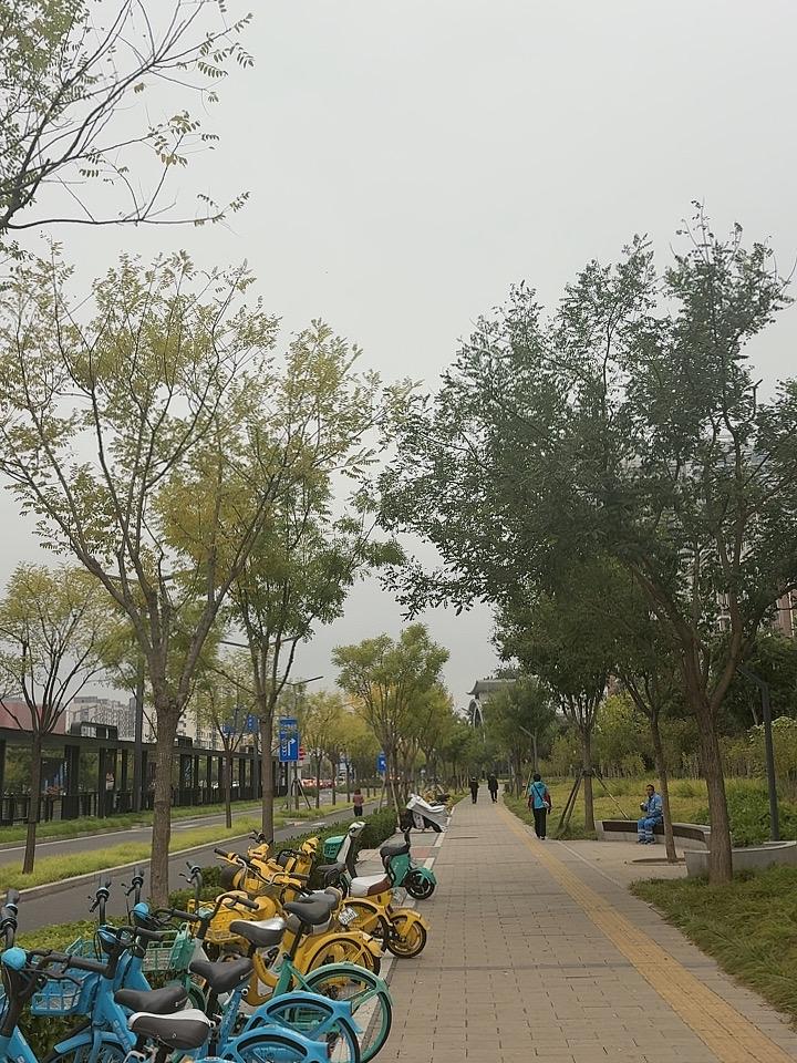 预报今天的狂风暴雨还没来，到现在北京通州区一切平静。不知道北京的其他区县现在如何