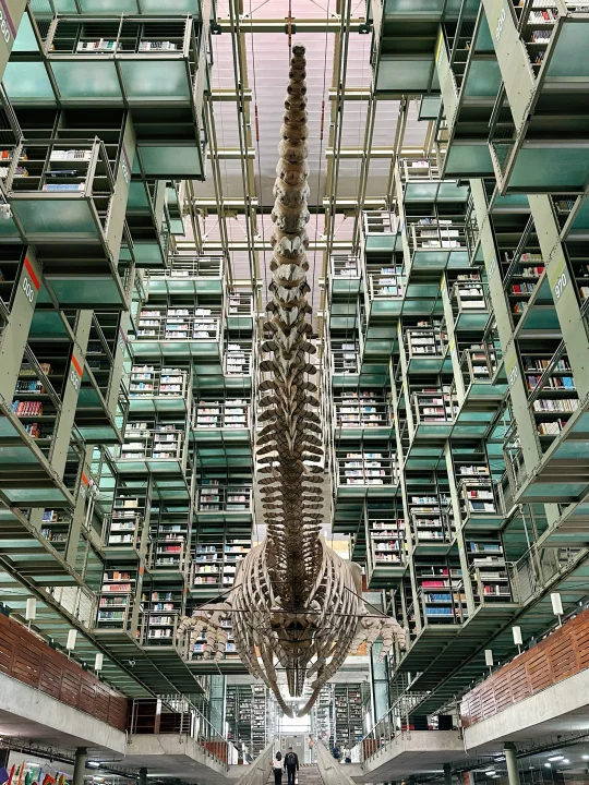 🇲🇽墨西哥城最酷的图书馆，椅子可真好看