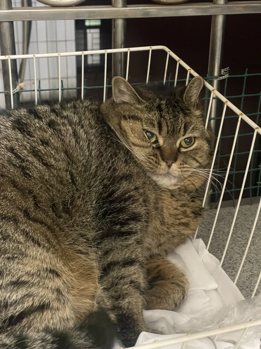 姐，我今晚就在这睡！