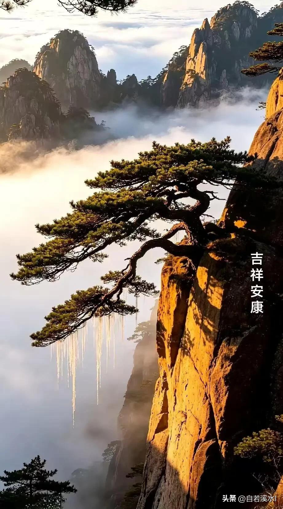 早安，人间朝暮，晨光温柔。珍惜当下平凡时光，守好身边温暖与欢喜。