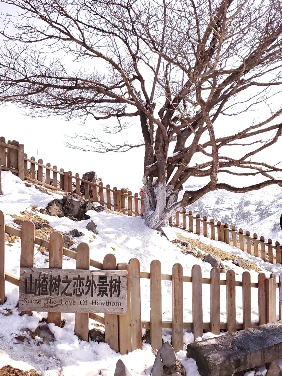 🏂宜昌滑雪⛷️百里荒滑雪场游玩攻略✨