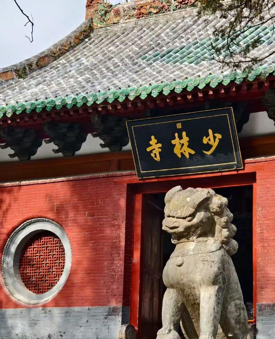 九图看完电影你行你上《你行！你上！》凭实力圈粉，姜文式幽默与哲思贯穿始终。节奏把