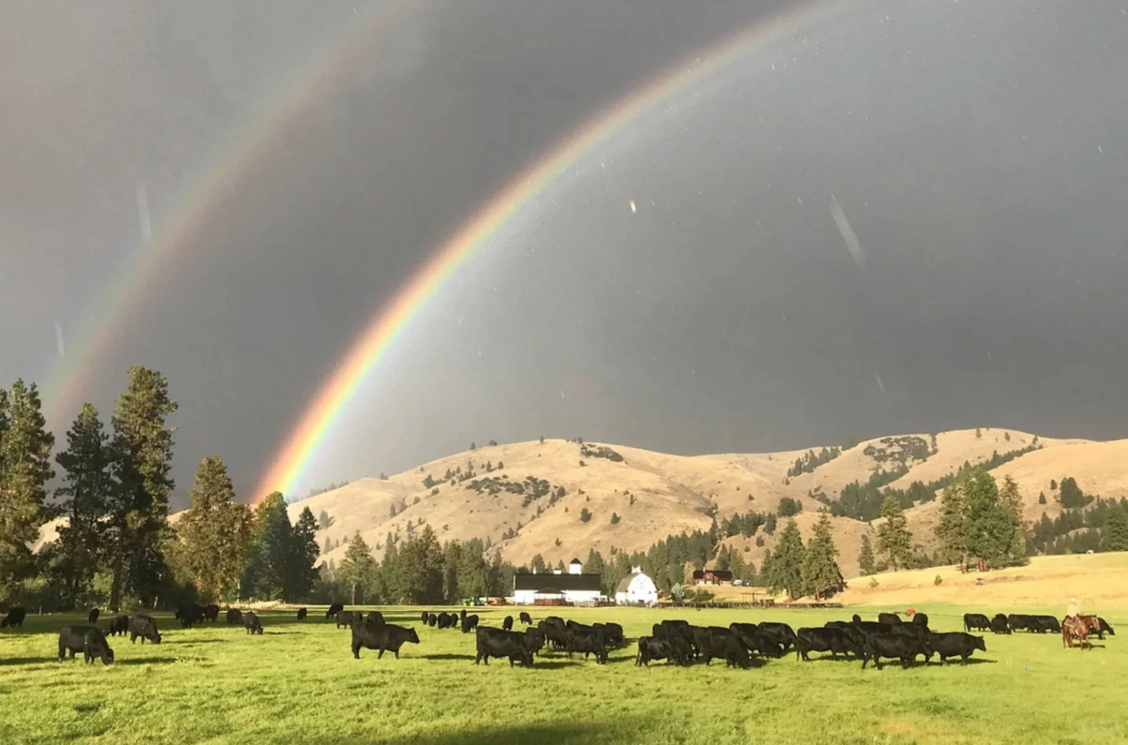 Chief Joseph Ranch：蒙大拿州传奇度假胜地