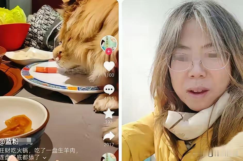 看完这个宠物狗上桌吃饭的新闻，我真想问一句：这到底是爱宠物，还是害宠物？

法律