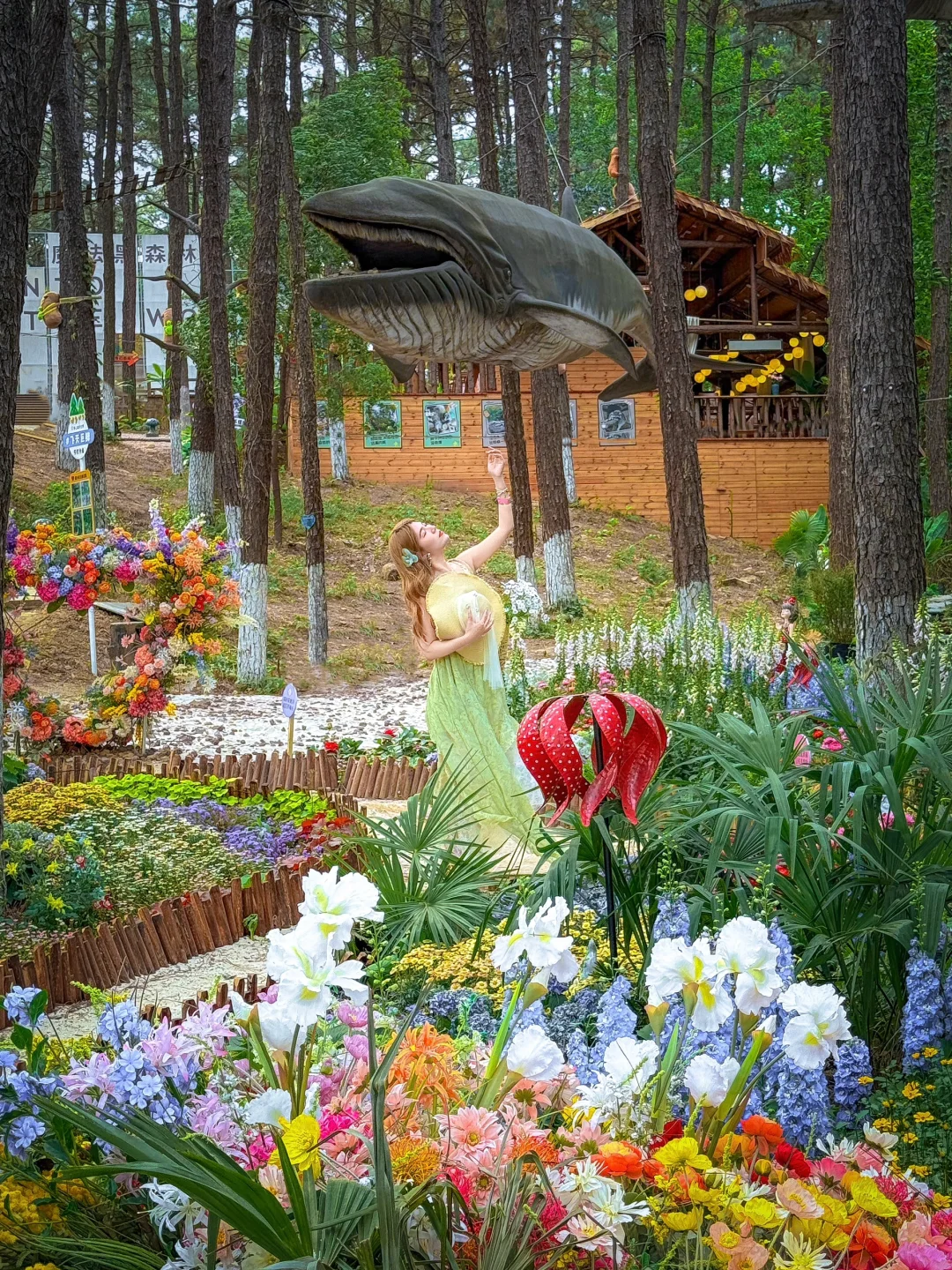 到常州了❗️怎么感觉跟到了巴厘岛一样🌴