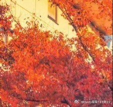 阳光‎信用 | 每日一善不忘初心怀揣敬畏，坚持不懈无惧前路。用音乐浇灌梦想的种子
