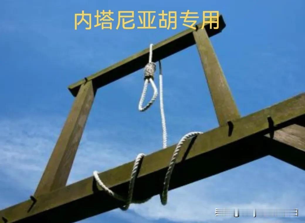萨达姆同款的这个架子，你们把它说留给拜登干爹、以色列扛把子，内公好不好？他会不会