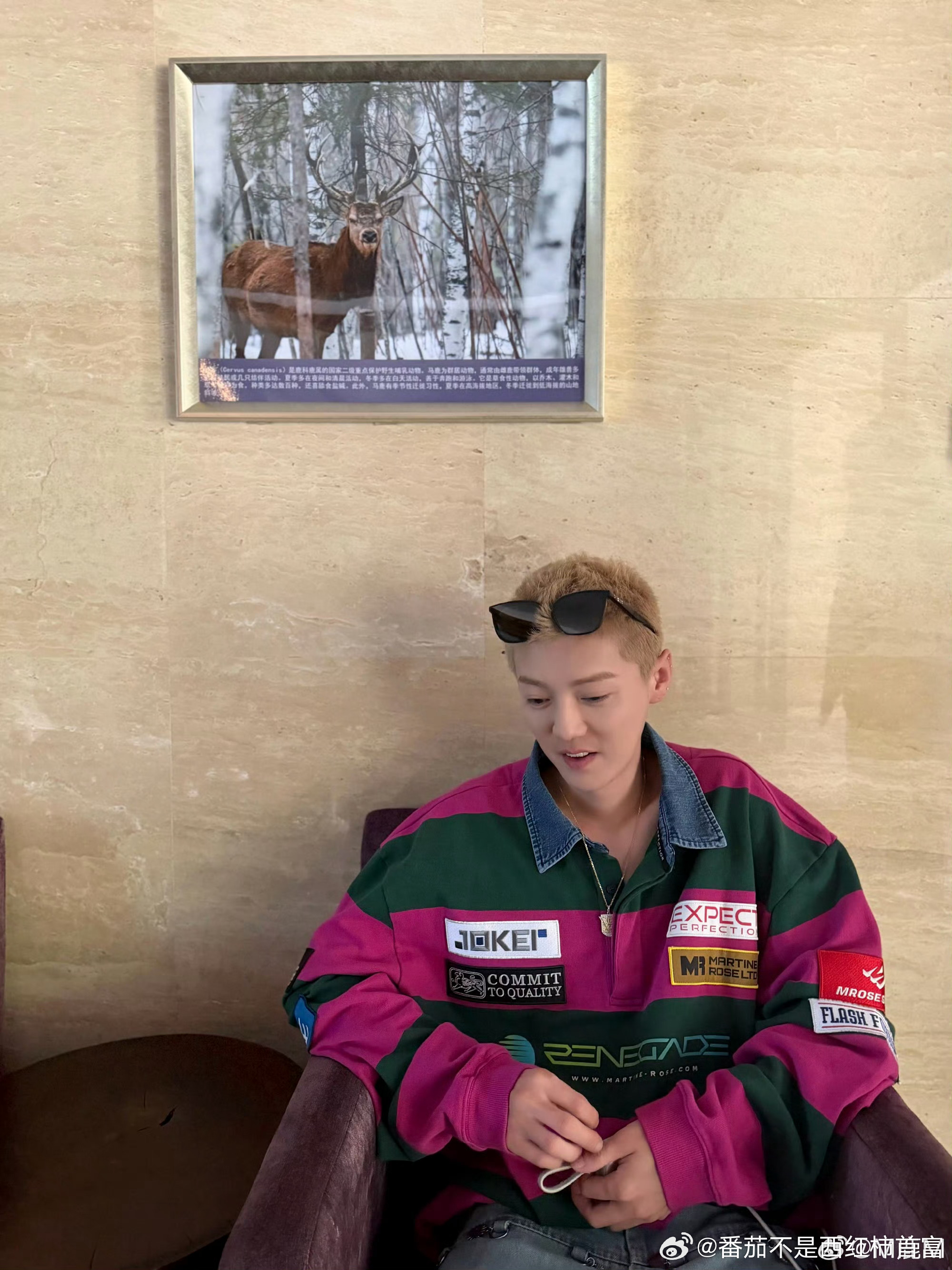 鹿晗庆生惊喜解锁ing五哈特别的一天 这么多人用心给鹿晗准备生日惊喜，光想想就觉
