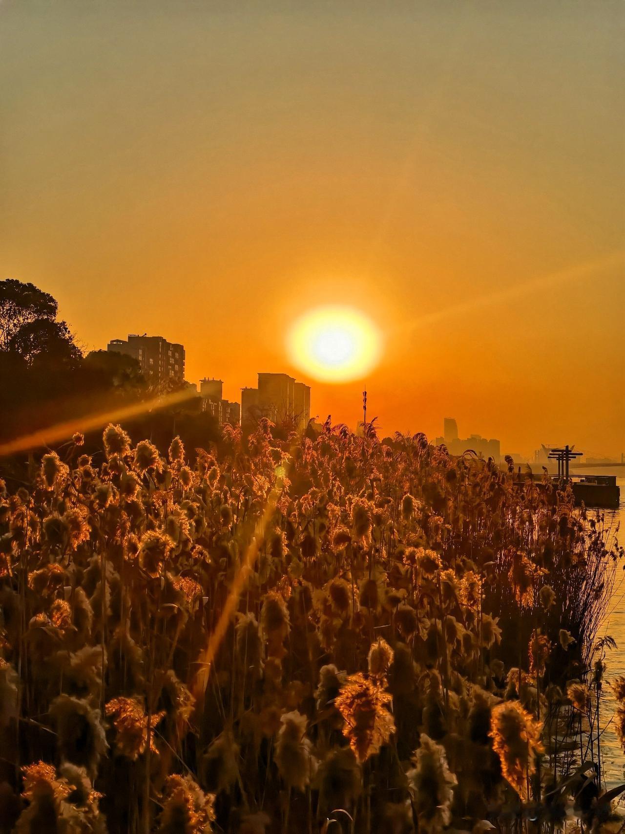 不知从何时起，我爱上了秋天。

或许是爱上它的凉，风从很远的地方赶来，带着一种清