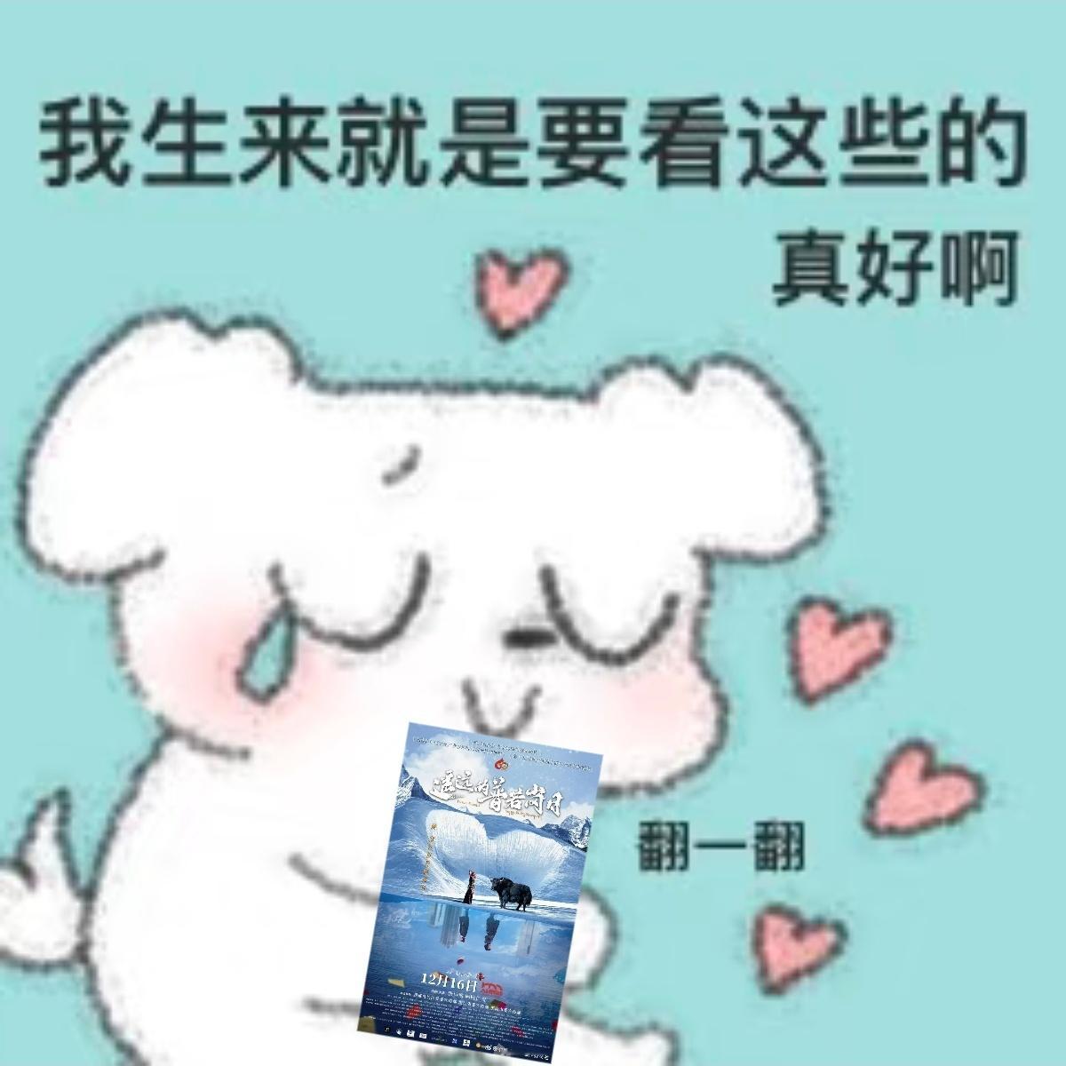 半个娱乐圈都来普若岗日团建了电影《遥远的普若岗日》转评区好热闹，王凯、宋茜、吴谨